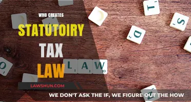 Who Really Creates Statutory Tax Law?