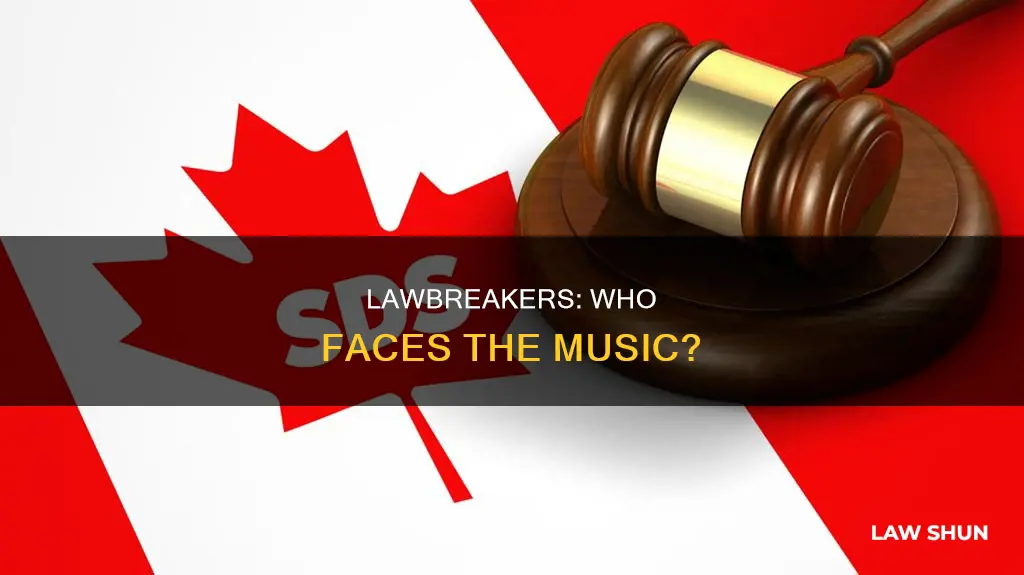 who creates the consquences of breaking the law