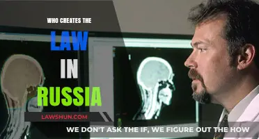 Russia's Lawmakers: Who Makes the Rules?
