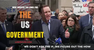 The US Lawmakers: Who Writes the Rules?