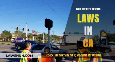 Traffic Laws in California: Who Makes the Rules?