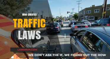 Traffic Laws: Who Makes the Rules?