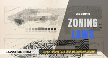 Creating Zoning Laws: Who's in Charge?