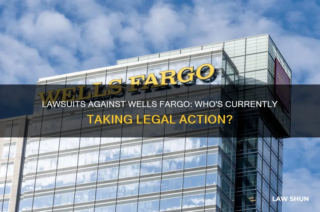 who currently has law suits against wells fargo