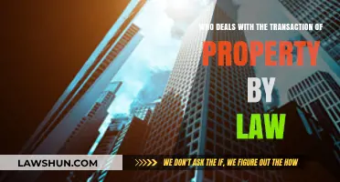 Understanding Legal Property Transactions: Who Handles the Process by Law?