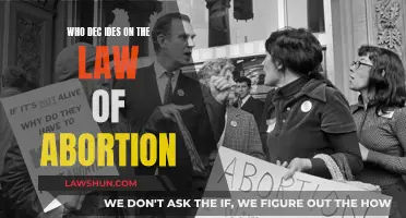 Who Holds the Power to Decide Abortion Laws?