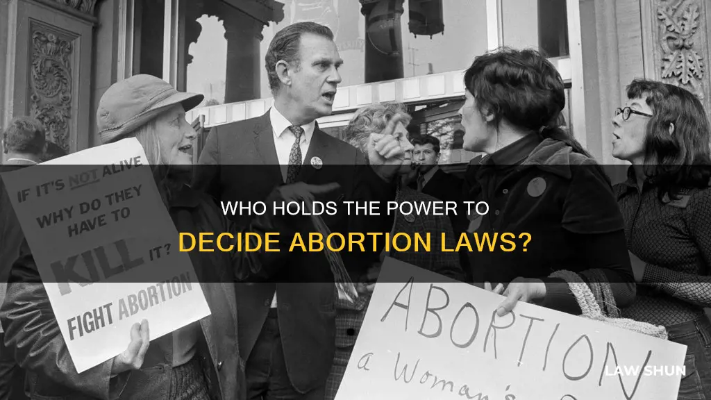 who dec ides on the law of abortion