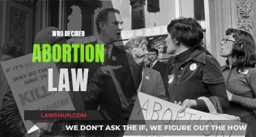 Abortion Law: Who Makes the Decision?