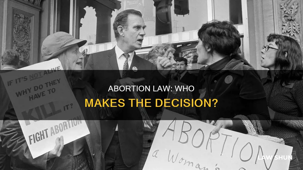 who decided abortion law