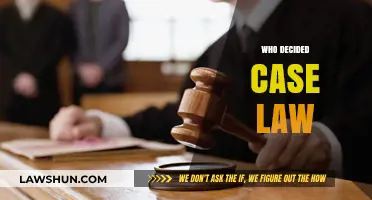 Case Law: Who Decides?