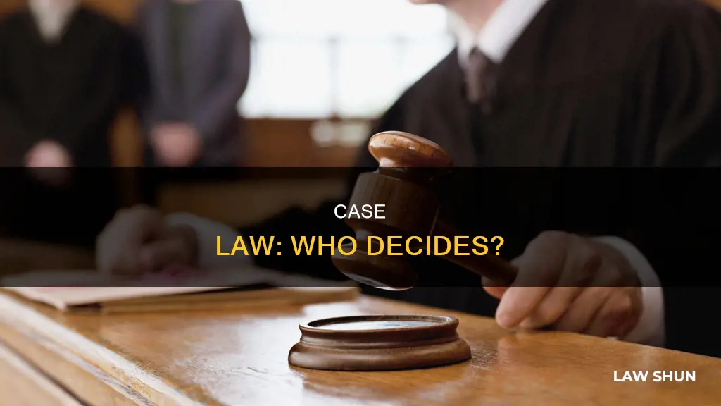 who decided case law
