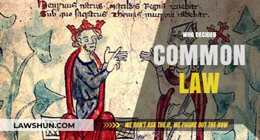 The Evolution of Common Law: A Historical Perspective