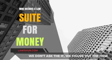 Who Determines Financial Lawsuits: Key Players and Decision-Making Process