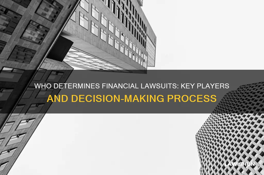 who decides a law suite for money