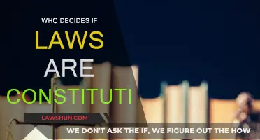The Supreme Court: Our Constitution's Ultimate Guardian