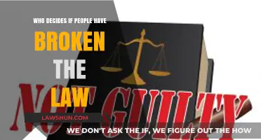 Who Determines Legal Guilt: Unraveling the Decision-Making Process