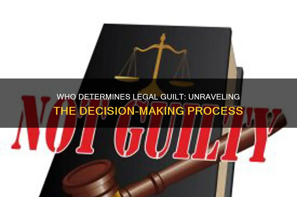 who decides if people have broken the law