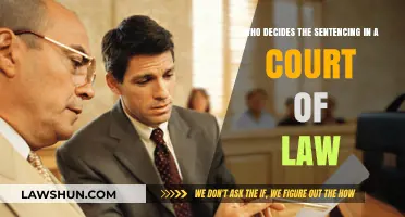 Judges, Juries, or Guidelines: Who Determines Sentencing in Court?
