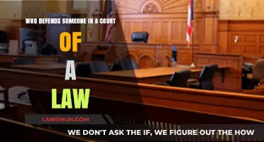 Who Defends You in Court? Understanding the Role of a Defense Attorney