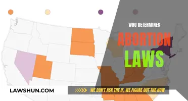 Who Holds the Power to Decide Abortion Laws?