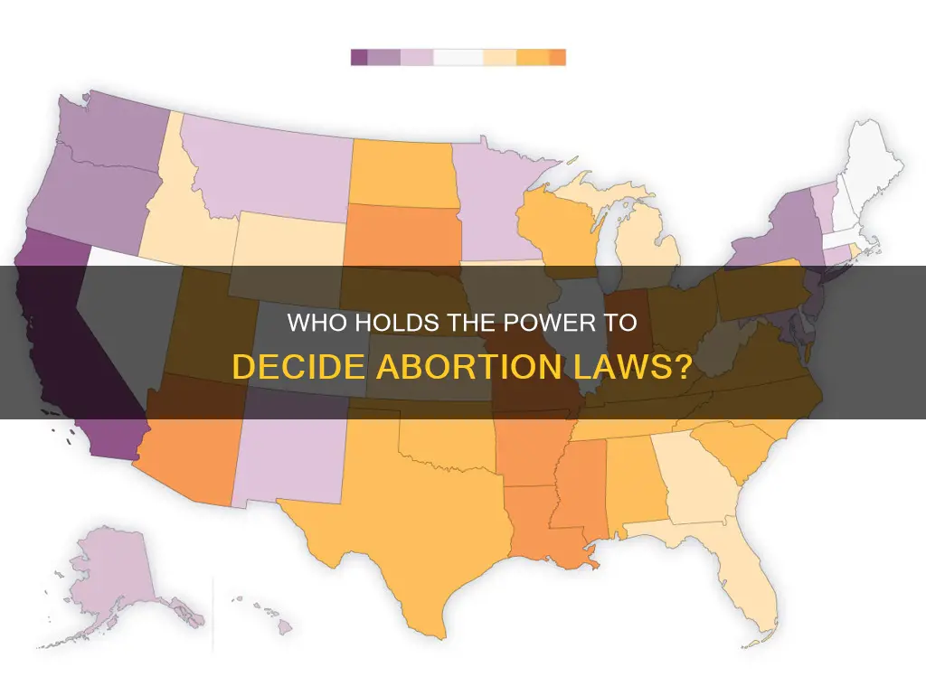 who determines abortion laws