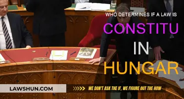Hungary's Constitutional Court: Who Decides?