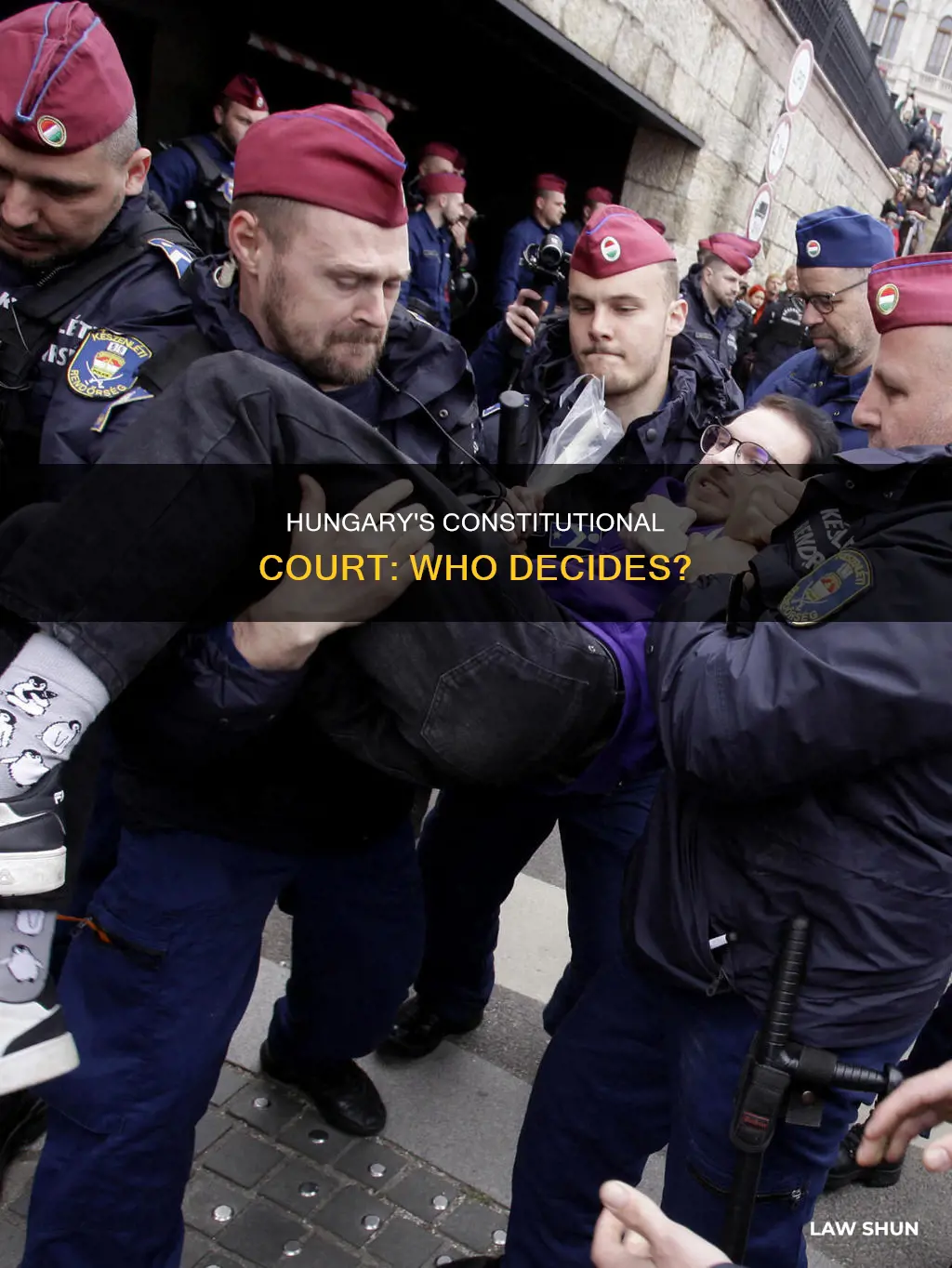 who determines if a law is constitutional in hungary