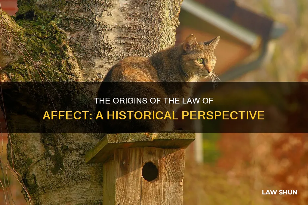 who developed the law of affect