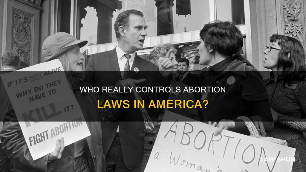 who diecides laws over abortion in america