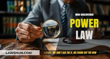 Unveiling the Power Law: A Journey to Its Discovery and Origin