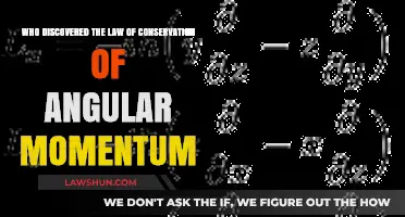 Unveiling the Genius Behind Angular Momentum Conservation Law Discovery