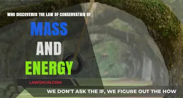 Unveiling the Pioneers Behind Conservation of Mass and Energy Laws
