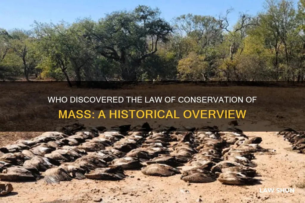 who discovered the law of conservation of mass course hero