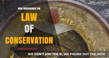 Unveiling the Genius Behind the Law of Conservation Discovery