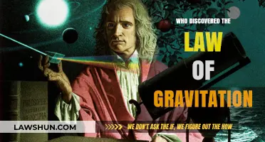 Unveiling the Genius: The Discovery of Gravity's Law