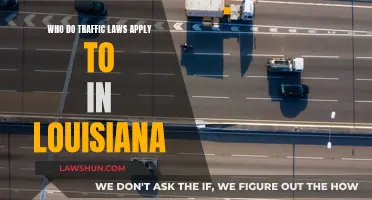 Traffic Laws in Louisiana: Who Are They Targeted At?