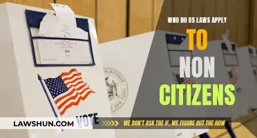 US Laws: Applicability to Non-Citizens