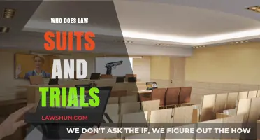 Understanding Legal Professionals: Who Handles Lawsuits and Trials?