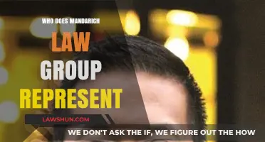 Unveiling the Clientele: Who Does Mandarin Law Group Represent?