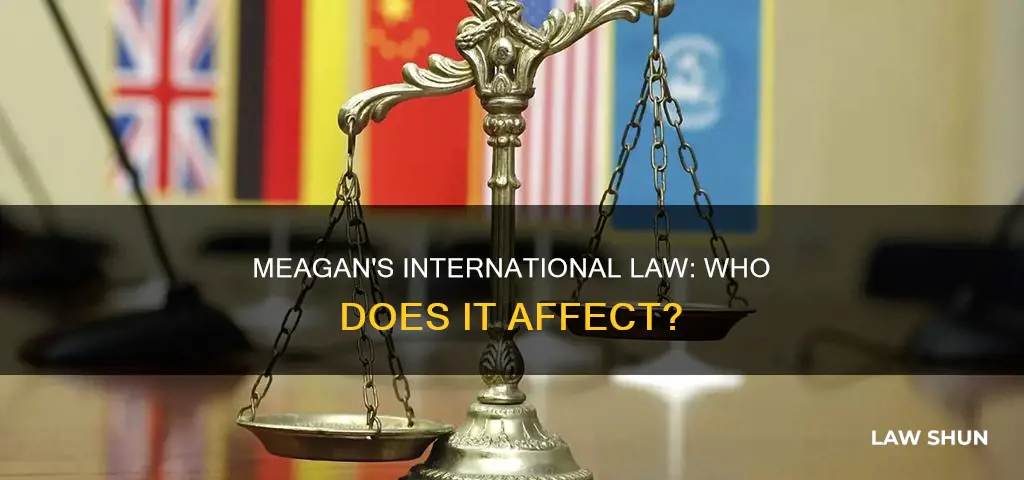 who does meagan international law apply to