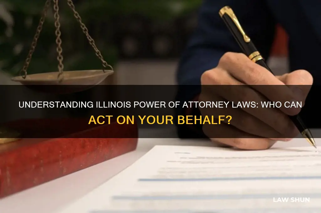 who does power of attorney law illinois
