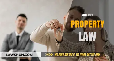 Understanding Property Law: Who Practices It and Why It Matters