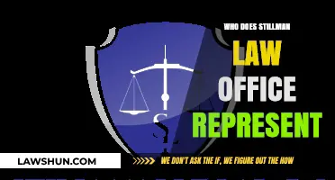Who Does Stillman Law Office Represent? Clients and Cases Explained