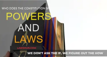 Powers and Laws: Constitution's Grantees