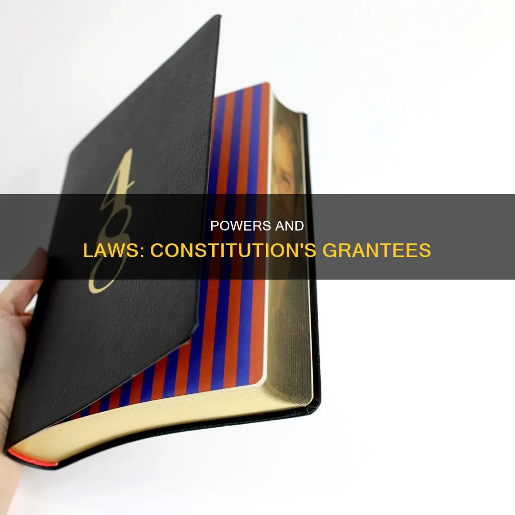who does the constitution grant powers and laws