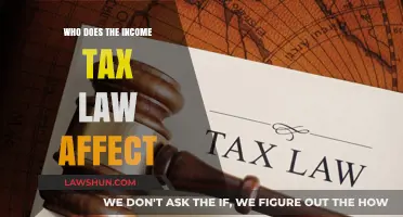 Income Tax Law: Who Pays and Why?
