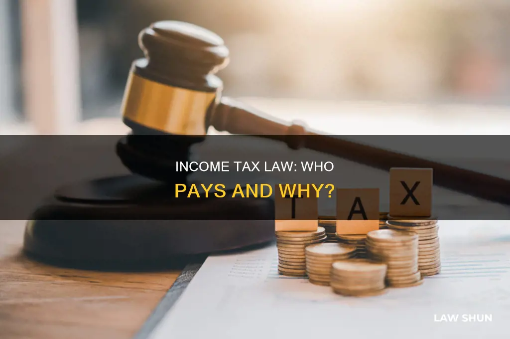 who does the income tax law affect