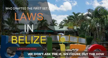 The First Laws of Belize: Who Drafted Them?