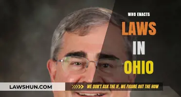 Understanding Ohio's Lawmaking Process: Who Enacts Laws in the Buckeye State?