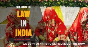 The Law Enactment Process in India